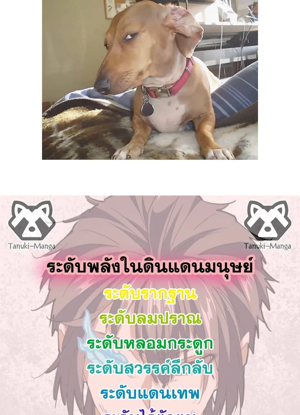 Magic Emperor ราชาจอมเวทย์ ตอนที่ 874 หน้า 58