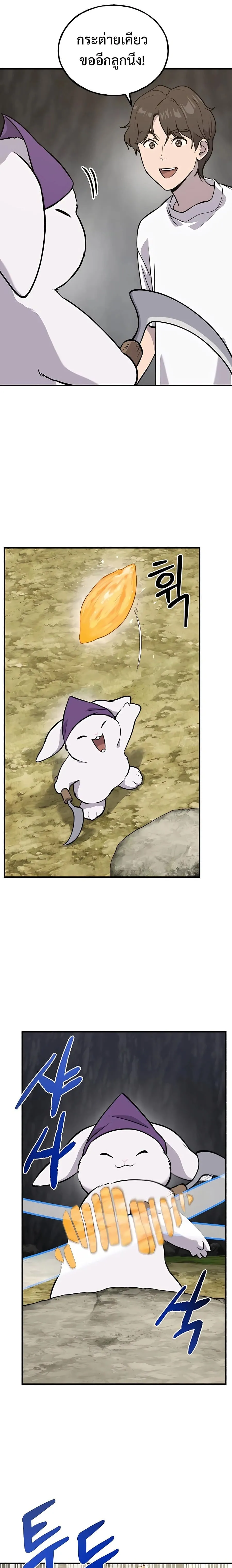 Solo Farming In The Tower ปลูกผักพิชิตหอคอย ตอนที่ 21 หน้า 13