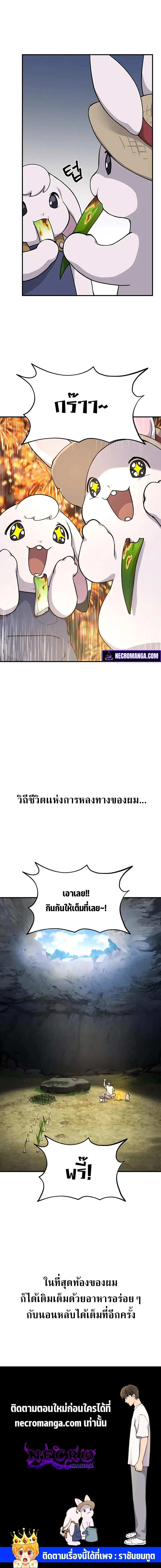 Solo Farming In The Tower ปลูกผักพิชิตหอคอย ตอนที่ 3 หน้า 16