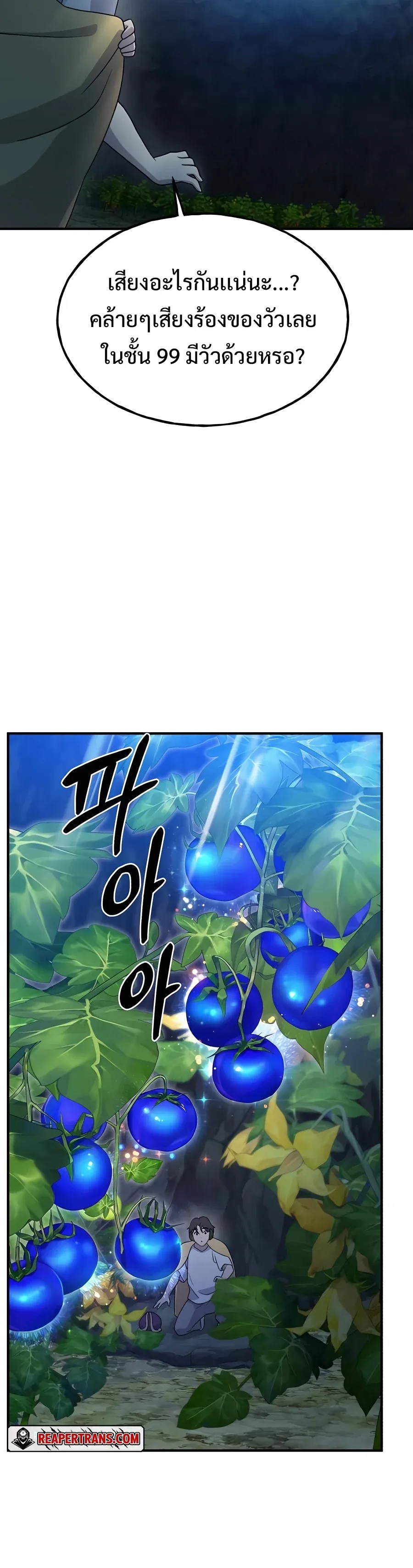 Solo Farming In The Tower ปลูกผักพิชิตหอคอย ตอนที่ 31 หน้า 24