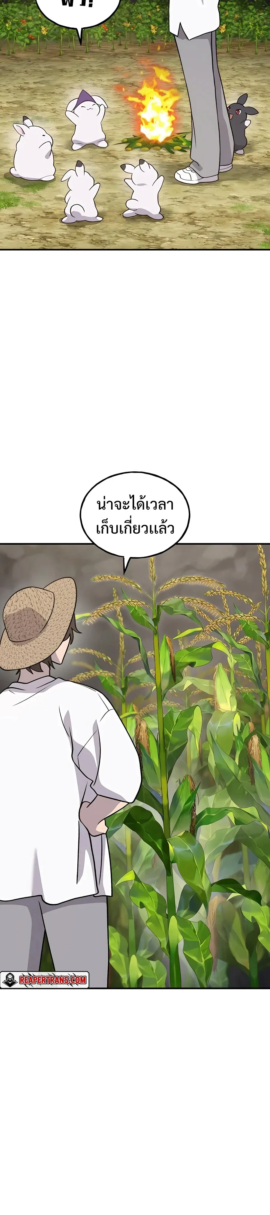 Solo Farming In The Tower ปลูกผักพิชิตหอคอย ตอนที่ 32 หน้า 18