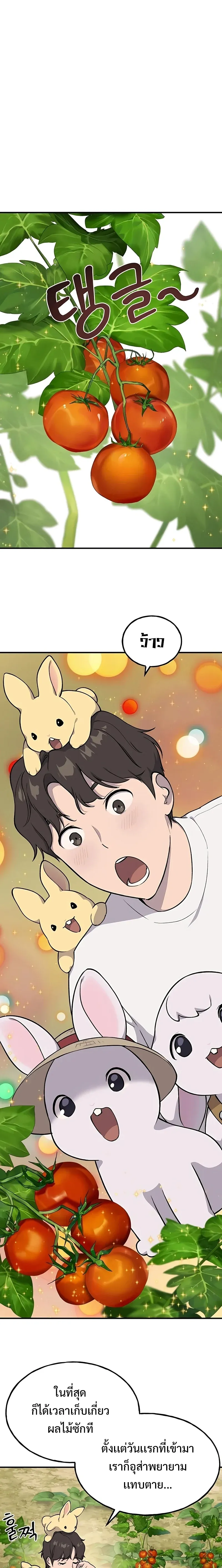 Solo Farming In The Tower ปลูกผักพิชิตหอคอย ตอนที่ 6 หน้า 12