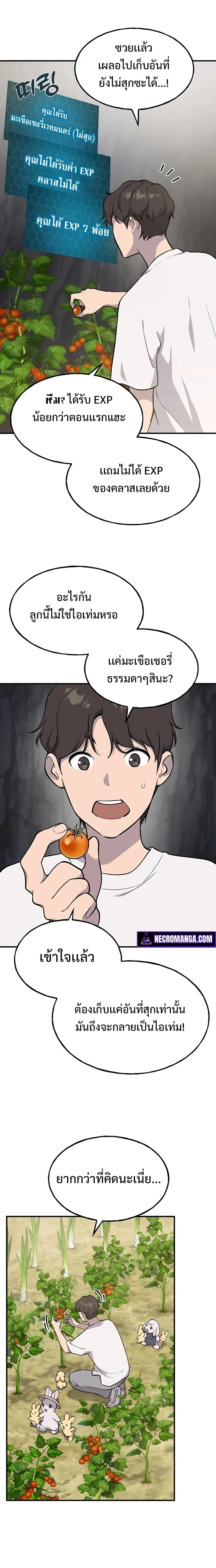 Solo Farming In The Tower ปลูกผักพิชิตหอคอย ตอนที่ 6 หน้า 17