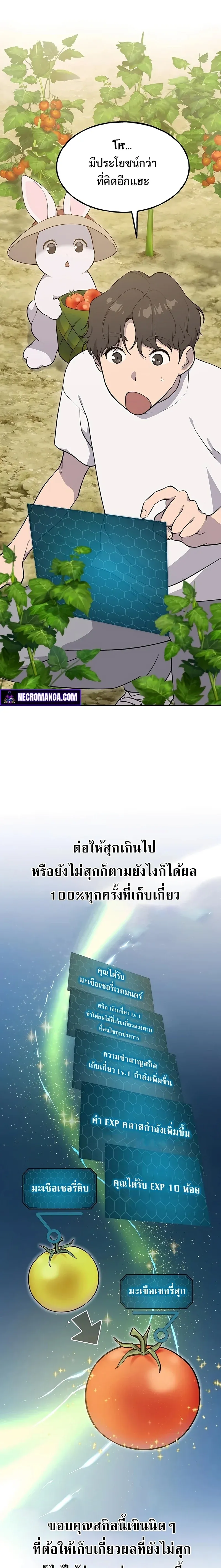 Solo Farming In The Tower ปลูกผักพิชิตหอคอย ตอนที่ 6 หน้า 30