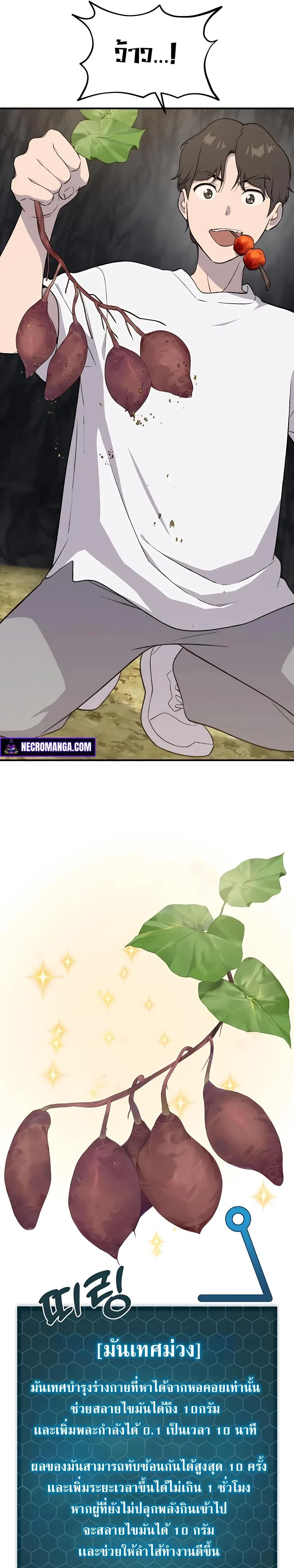 Solo Farming In The Tower ปลูกผักพิชิตหอคอย ตอนที่ 8 หน้า 17