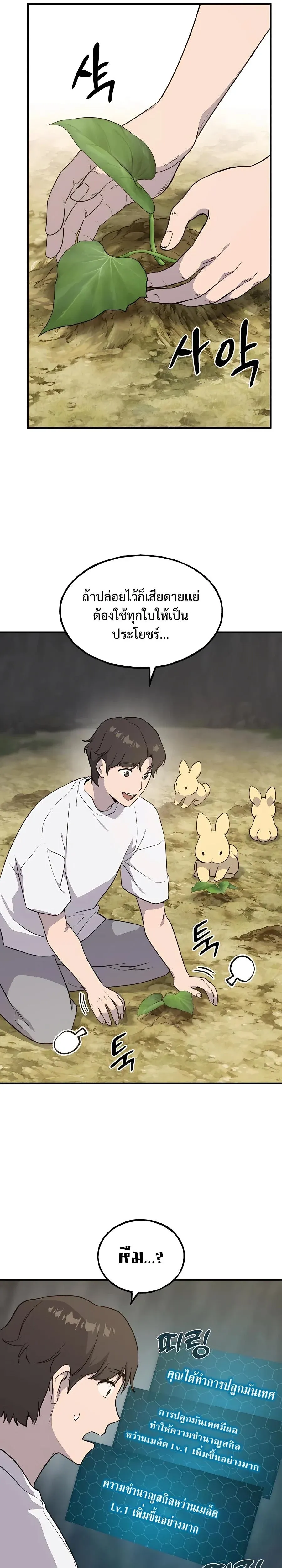 Solo Farming In The Tower ปลูกผักพิชิตหอคอย ตอนที่ 8 หน้า 19