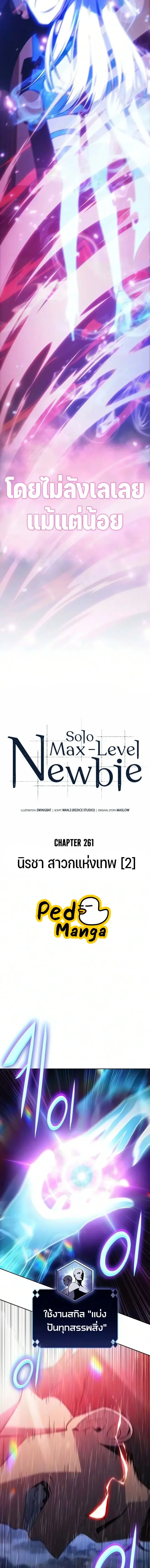 Solo Max-Level Newbie ผู้เล่นหน้าใหม่เลเวลแมกซ์ ตอนที่ 261 หน้า 4