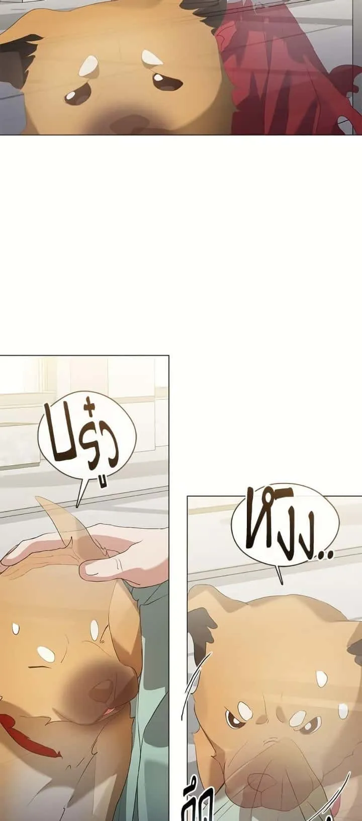 หน้า 22
