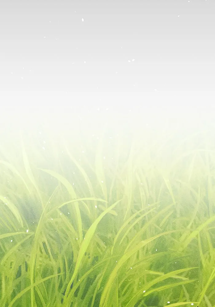 หน้า 116