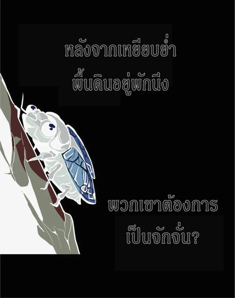 หน้า 62