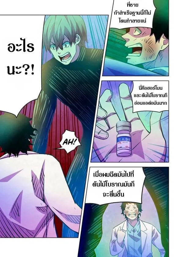 หน้า 13