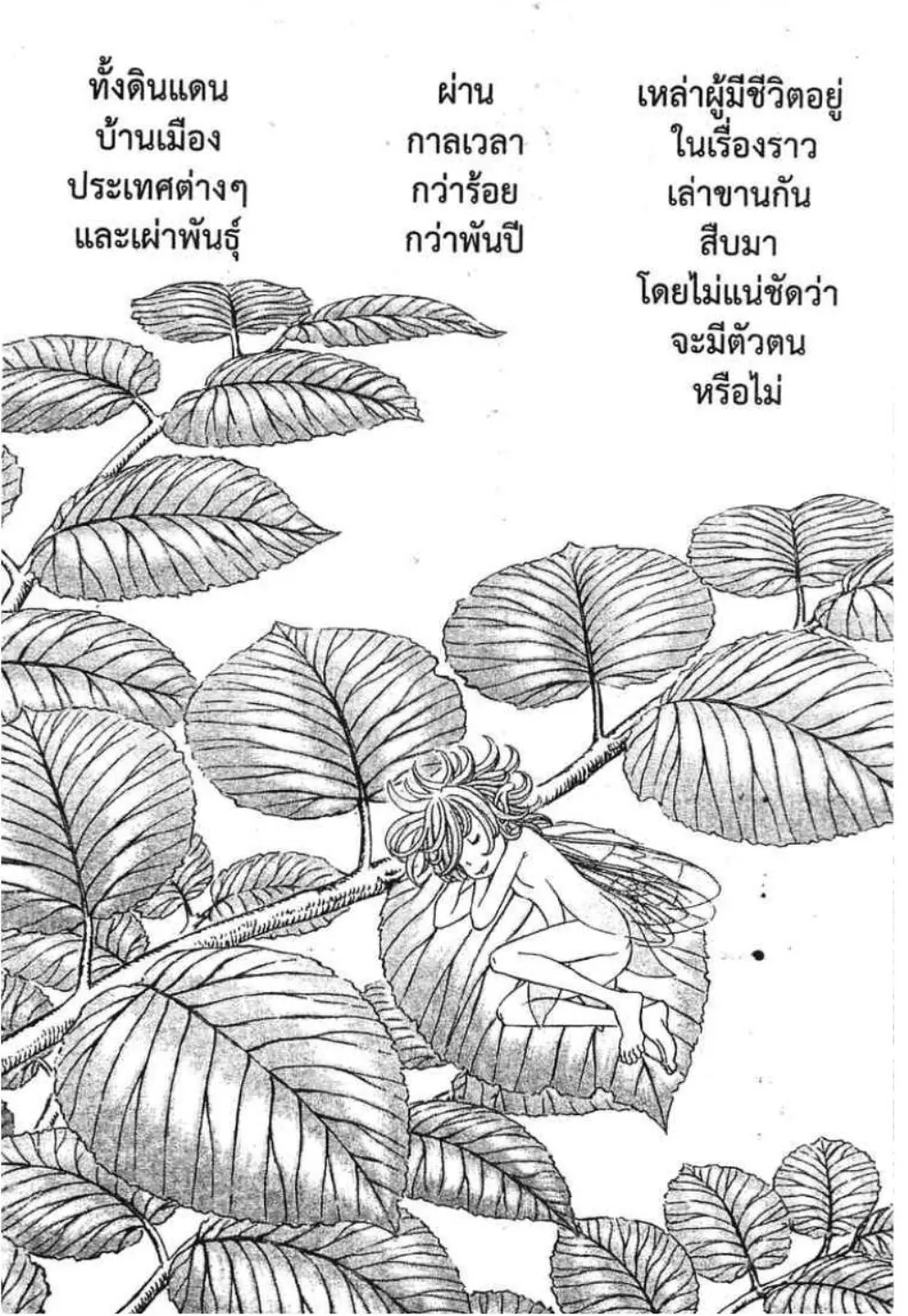 หน้า 24
