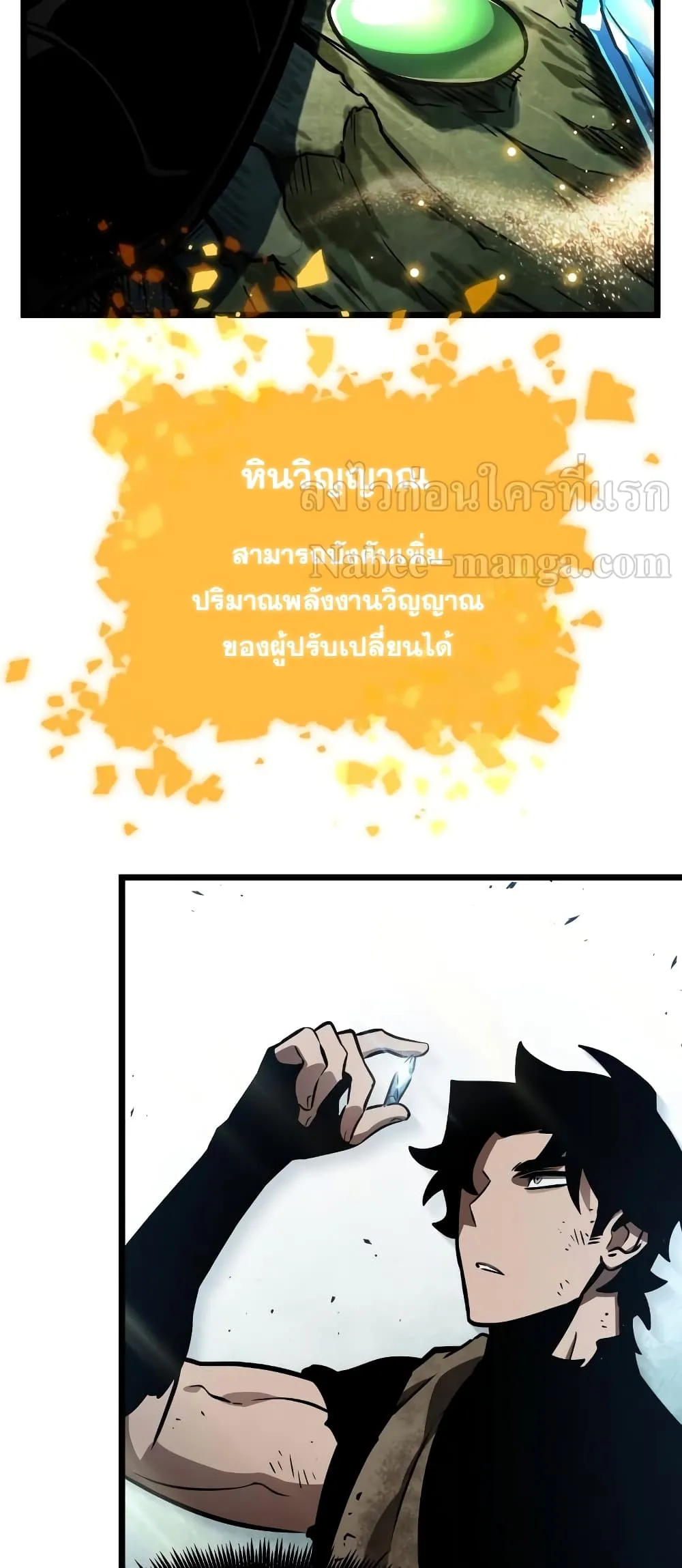 หน้า 43