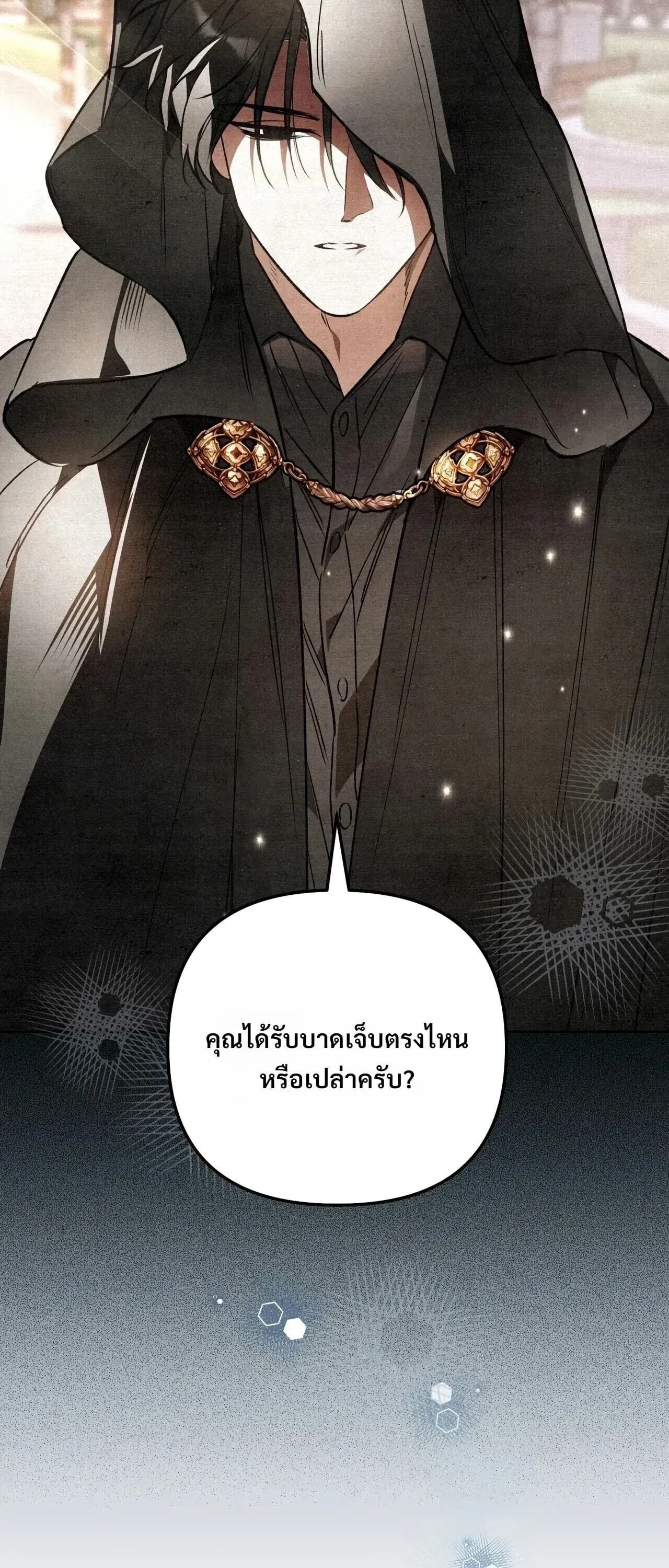 หน้า 102